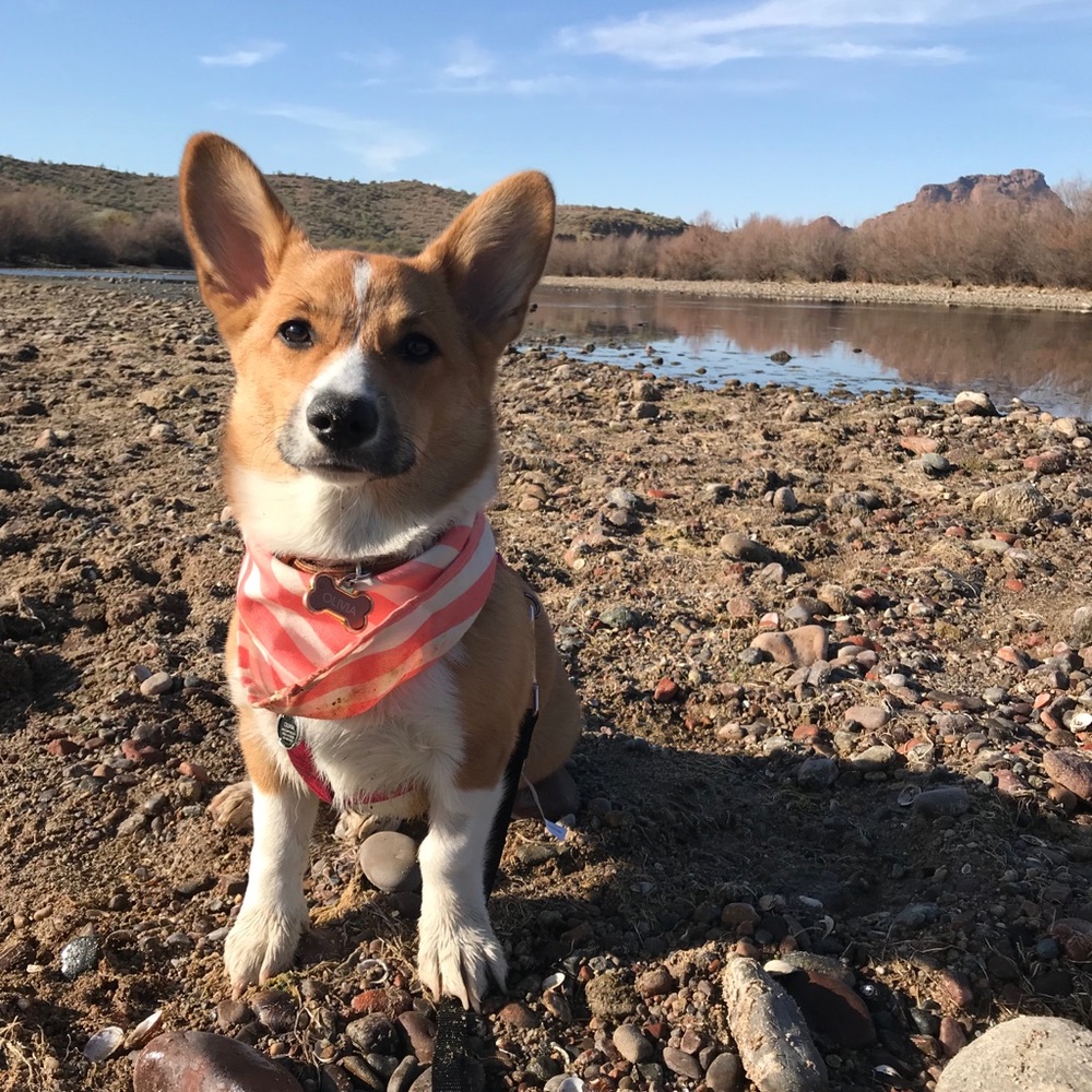 Meet your Posher, Sarah